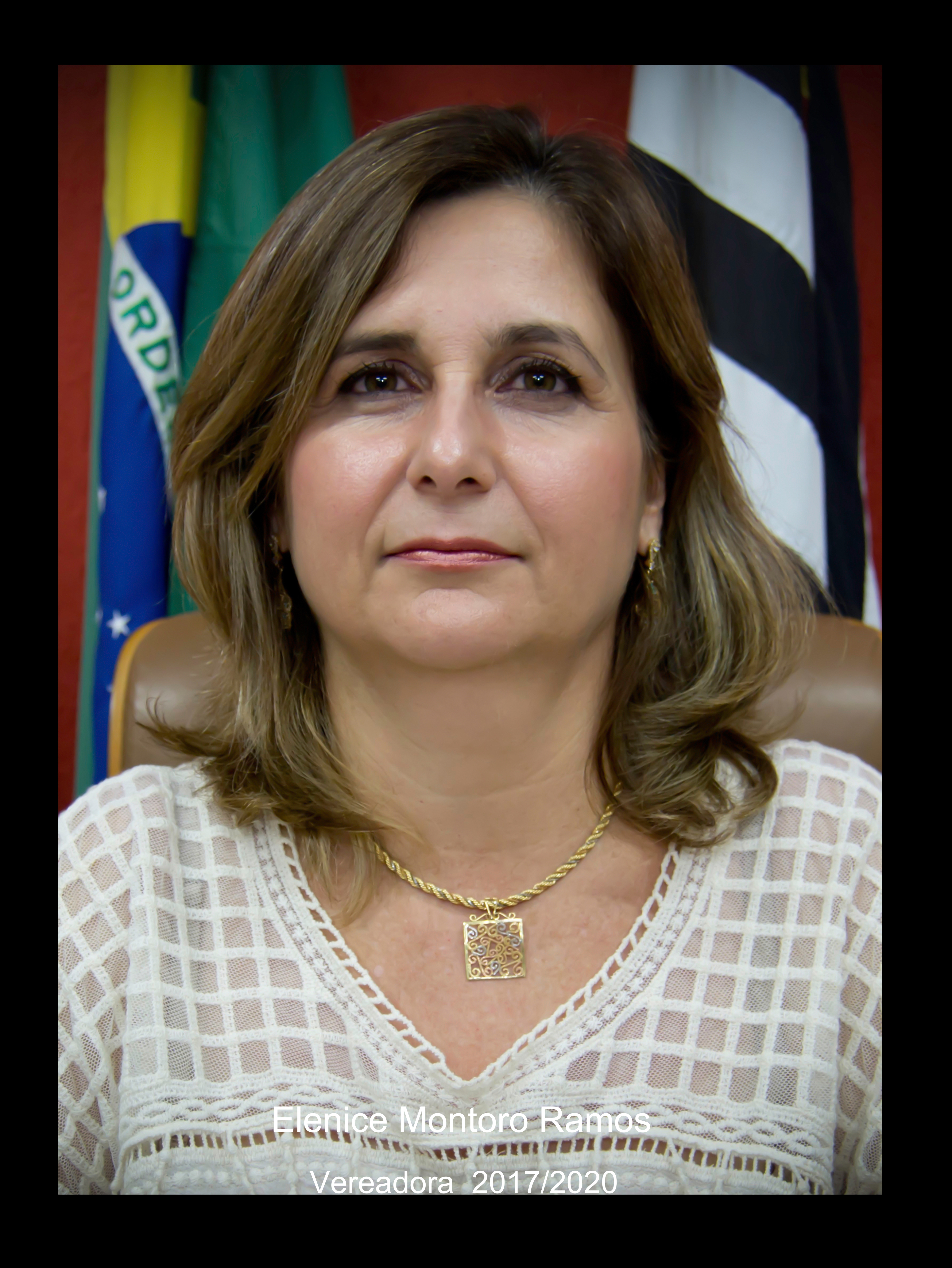 ELENICE MONTORO RAMOS - Partido da Social Democracia Brasileira